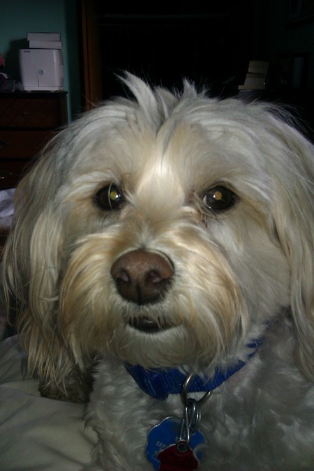 Entry image for Tucker . Clicking this image will show a larger photo