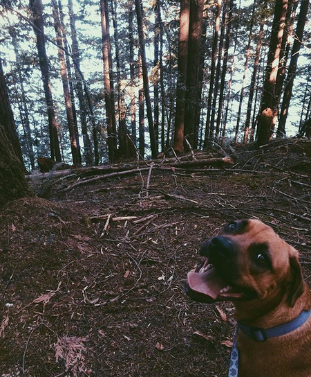 Entry image for Kaia. Clicking this image will show a larger photo