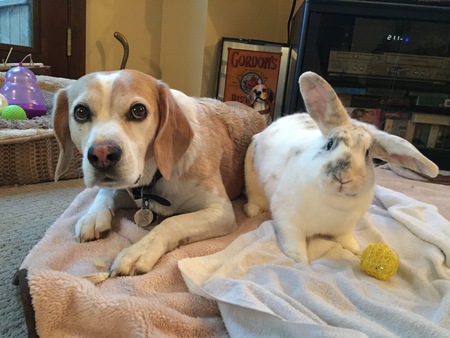 Entry image for King Kong and Rey. Clicking this image will show a larger photo