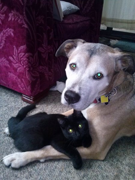 Entry image for Morocco and Zazzles. Clicking this image will show a larger photo