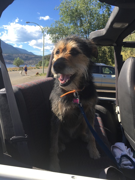 Entry image for Mia. Clicking this image will show a larger photo