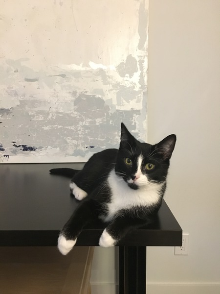 Entry image for Lionel. Clicking this image will show a larger photo