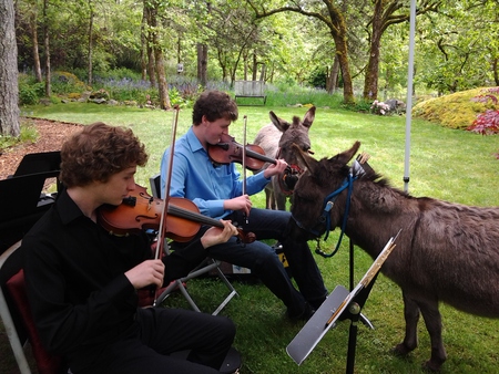 Entry image for SABRINA AND DUSTY. Clicking this image will show a larger photo