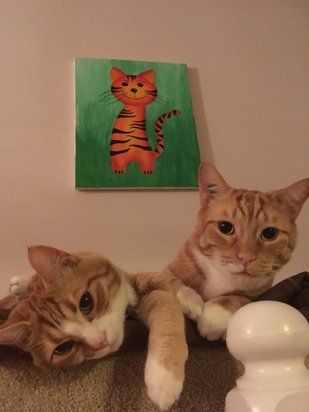 Entry image for Astro and Apollo. Clicking this image will show a larger photo