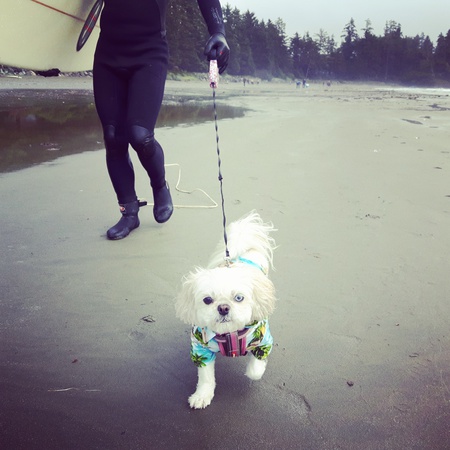 Entry image for Lexy. Clicking this image will show a larger photo