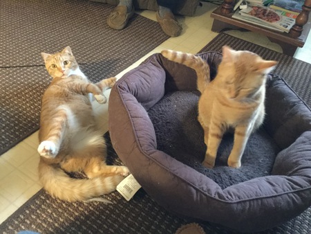 Entry image for Dude and Tatze. Clicking this image will show a larger photo