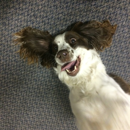 Entry image for Brooke. Clicking this image will show a larger photo