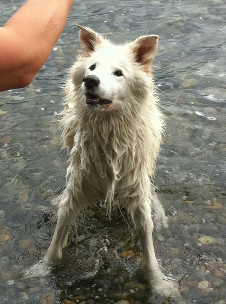 Entry image for Heidi. Clicking this image will show a larger photo