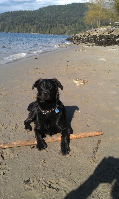 Entry image for Jenny . Clicking this image will show a larger photo