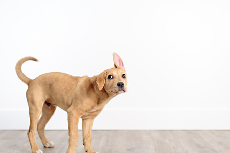 Entry image for Roland. Clicking this image will show a larger photo