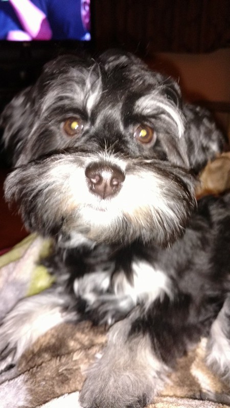 Entry image for Aura. Clicking this image will show a larger photo