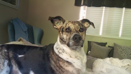 Entry image for JayDee. Clicking this image will show a larger photo