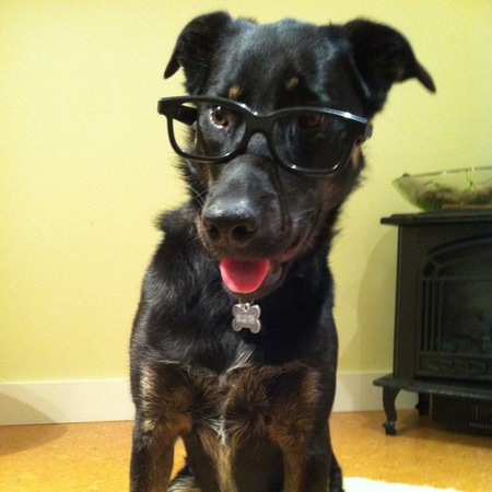 Entry image for Poco. Clicking this image will show a larger photo