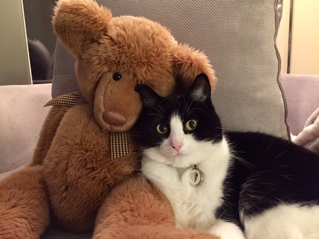 Entry image for Lacey Mae. Clicking this image will show a larger photo