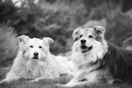 Entry image for Kayda and Kybrie. Clicking this image will show a larger photo