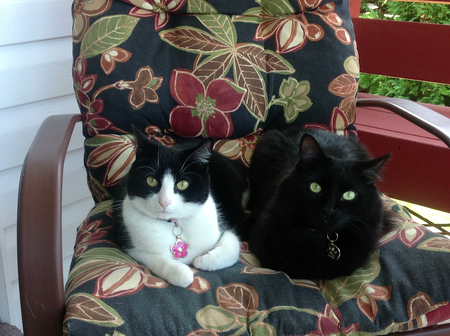 Entry image for Lacey & Simon. Clicking this image will show a larger photo