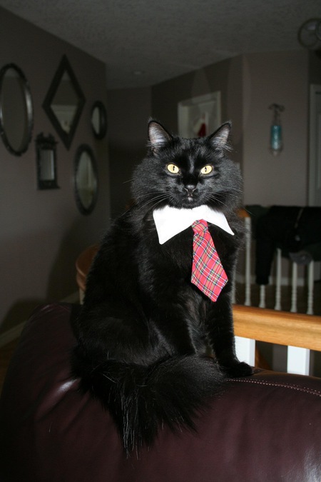 Entry image for Simon. Clicking this image will show a larger photo