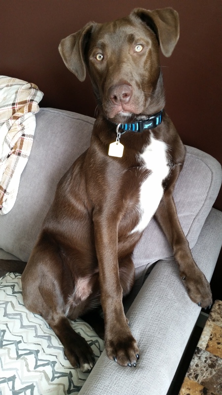 Entry image for Max . Clicking this image will show a larger photo