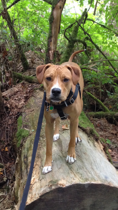 Entry image for Wilson. Clicking this image will show a larger photo