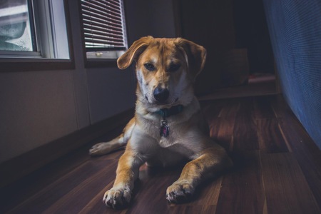 Entry image for Kiah. Clicking this image will show a larger photo