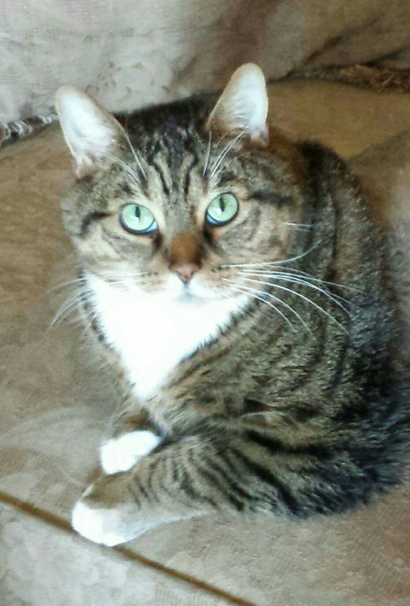 Entry image for Budy. Clicking this image will show a larger photo