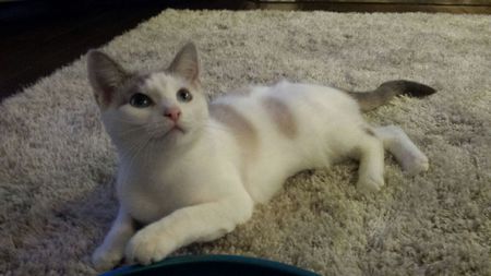 Entry image for Sophie. Clicking this image will show a larger photo