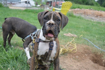 Entry image for Cash. Clicking this image will show a larger photo