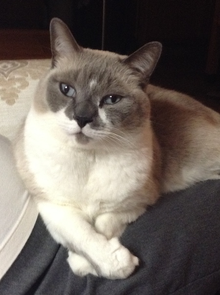 Entry image for Bill. Clicking this image will show a larger photo