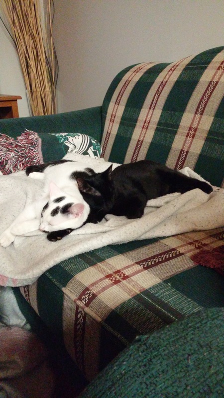 Entry image for Sheldon and Penny. Clicking this image will show a larger photo