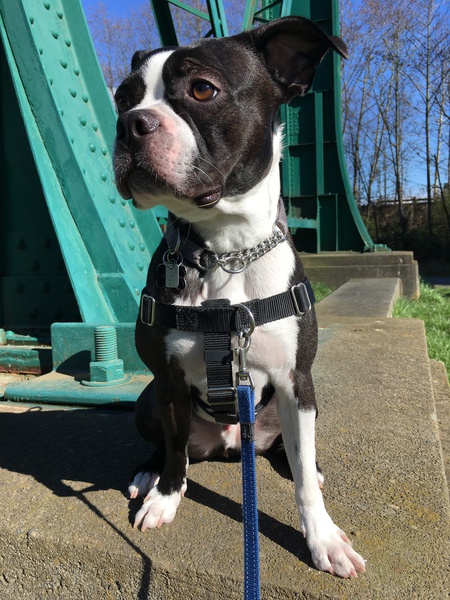 Entry image for NV. Clicking this image will show a larger photo