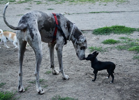 Entry image for Dany. Clicking this image will show a larger photo