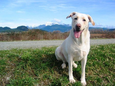 Entry image for Tritan. Clicking this image will show a larger photo