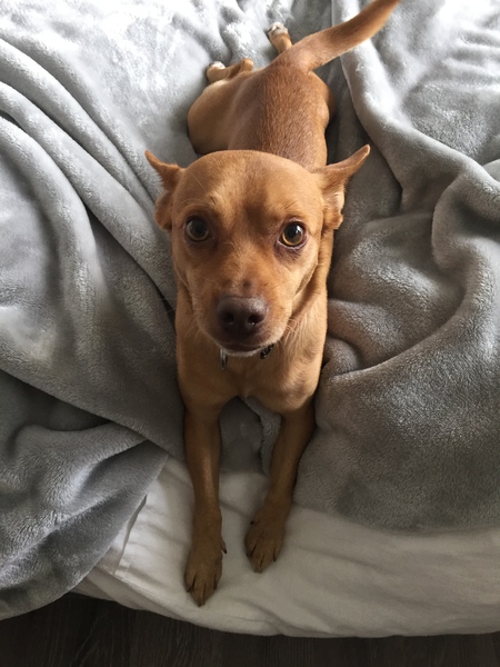 Entry image for Sven. Clicking this image will show a larger photo