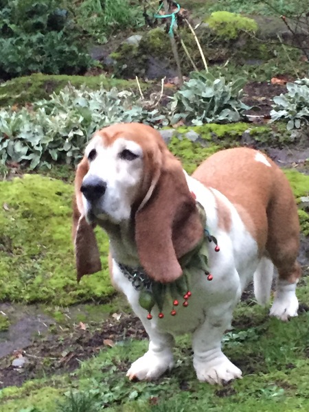 Entry image for Katie. Clicking this image will show a larger photo