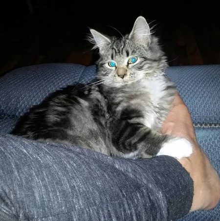 Entry image for Winky. Clicking this image will show a larger photo