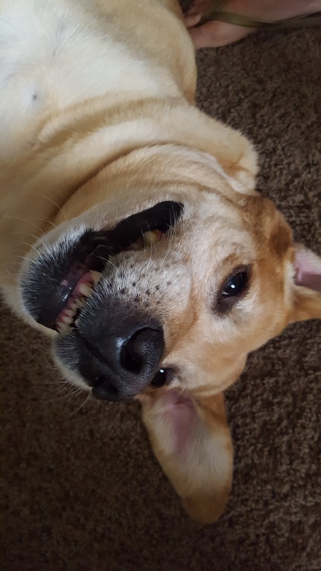 Entry image for TAYLOR . Clicking this image will show a larger photo