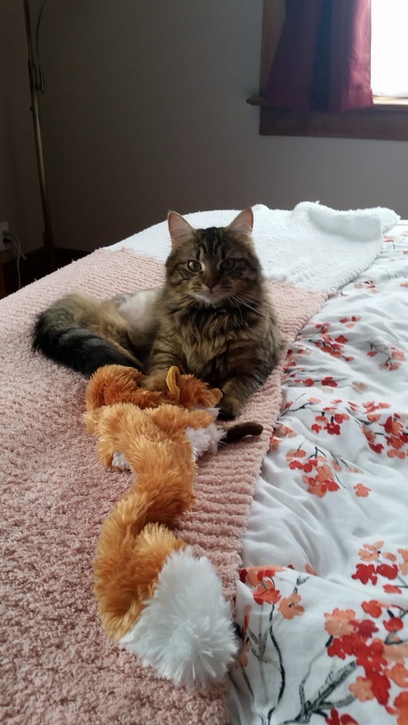 Entry image for Pistachio. Clicking this image will show a larger photo