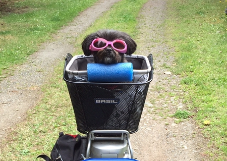 Entry image for Emmie. Clicking this image will show a larger photo