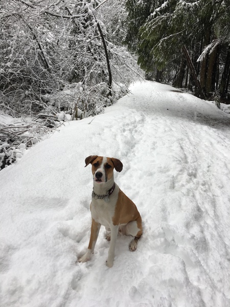 Entry image for Simon. Clicking this image will show a larger photo