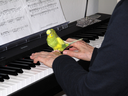 Entry image for Hito. Clicking this image will show a larger photo