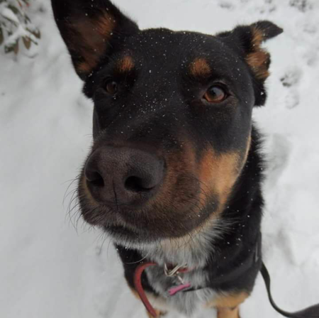 Entry image for Summer. Clicking this image will show a larger photo