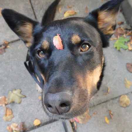 Entry image for Summer. Clicking this image will show a larger photo