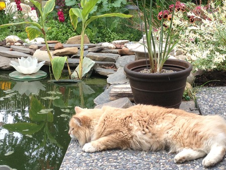 Entry image for MacKenzie. Clicking this image will show a larger photo