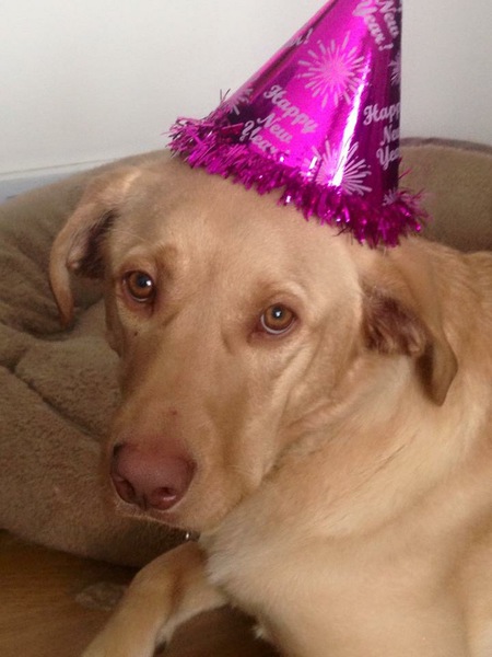 Entry image for Lebron. Clicking this image will show a larger photo