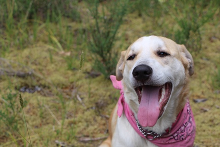 Entry image for Jenni. Clicking this image will show a larger photo