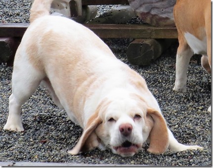 Entry image for Ben. Clicking this image will show a larger photo