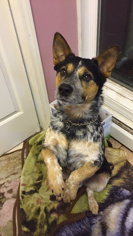 Entry image for Tyler P. Jones. Clicking this image will show a larger photo