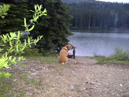 Entry image for Molly. Clicking this image will show a larger photo