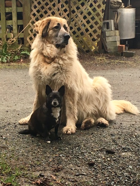 Entry image for Marco and Heidi. Clicking this image will show a larger photo