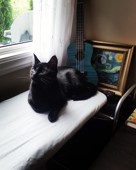 Entry image for Neville. Clicking this image will show a larger photo